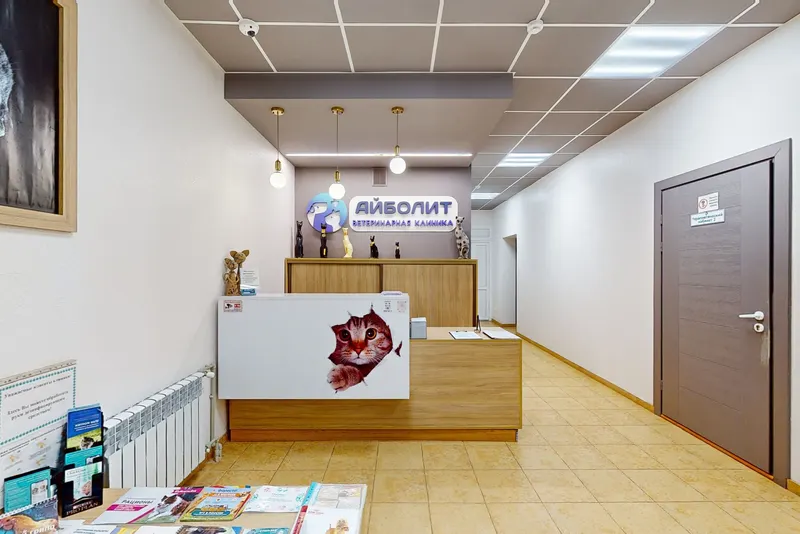 Ветеринарная клиника Айболит