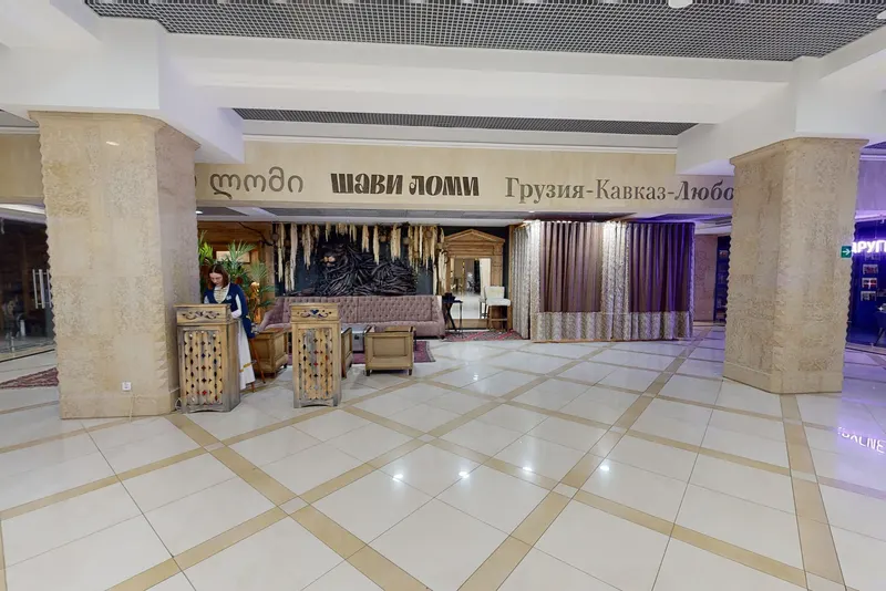 Шави Ломи